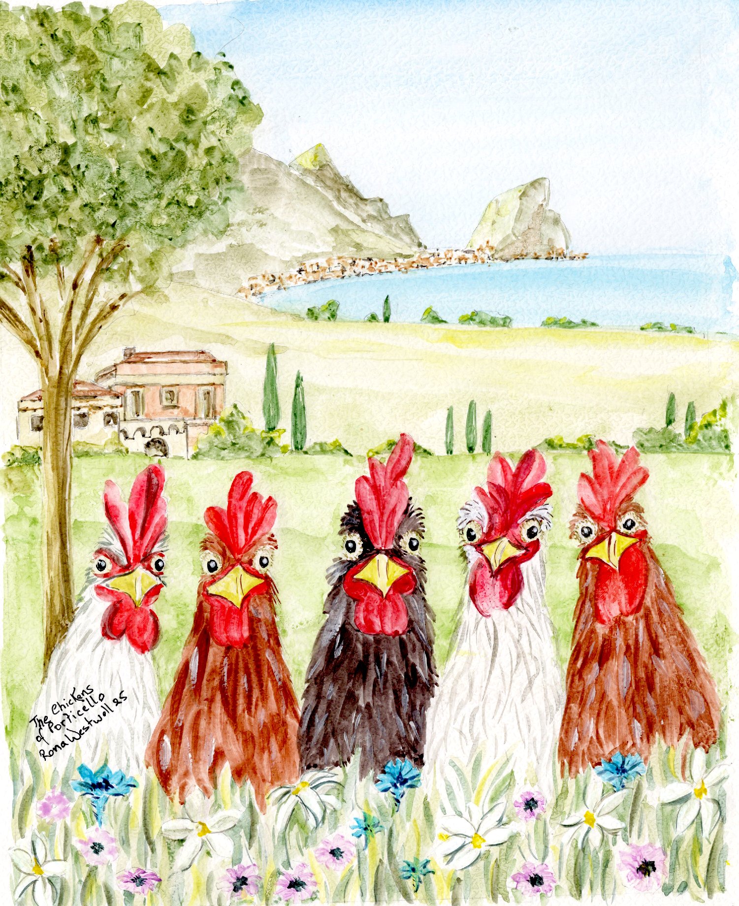 SICILY CHICKENS