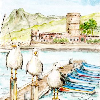 SICILY SEAGULLS